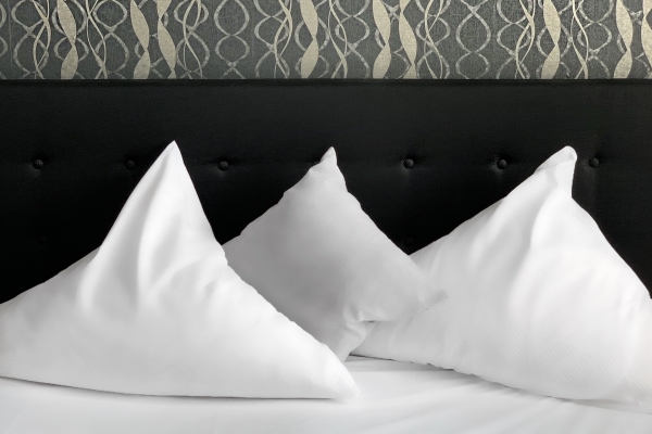 Hotel Zum Loewen